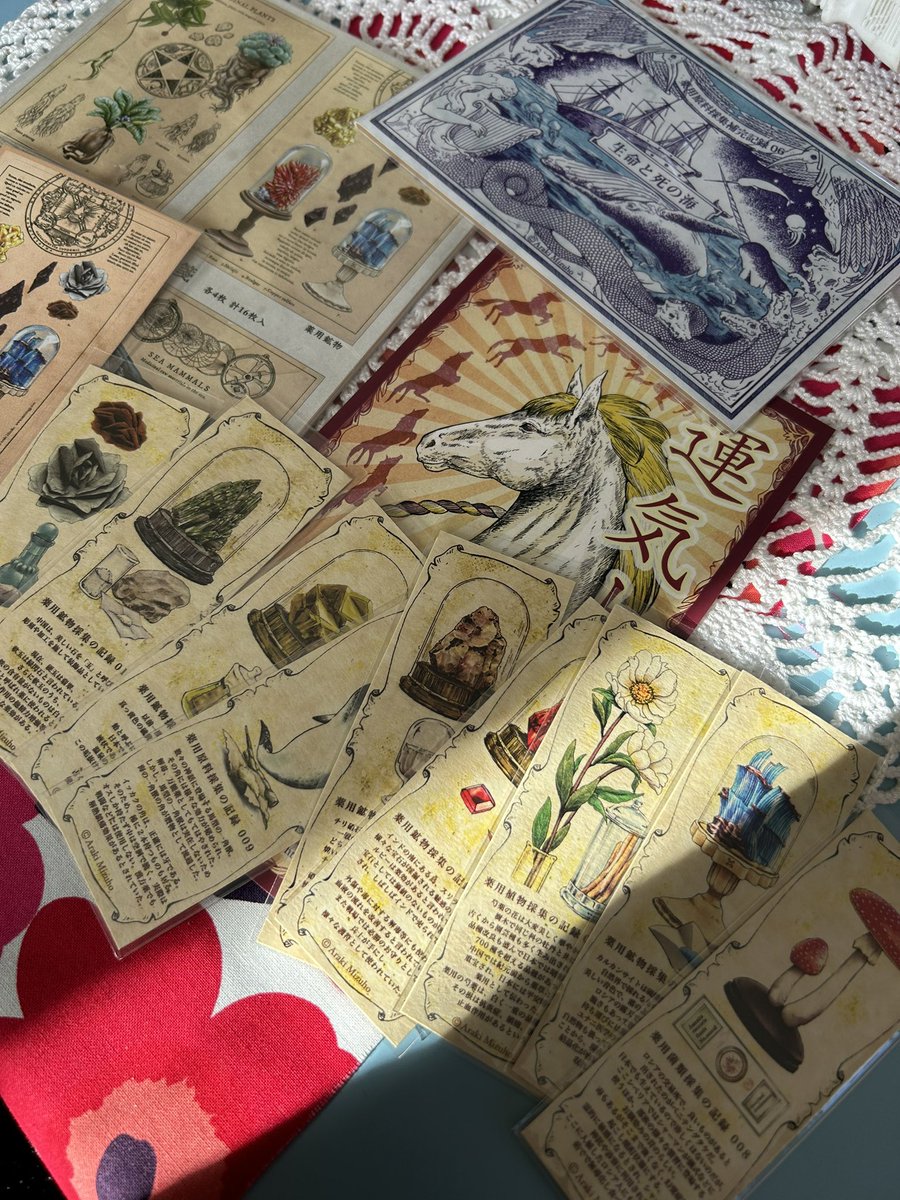 【新品未開封】Araki Mizuho 医療系雑貨生みたて卵屋 小冊子8点 新品未開封】Araki Mizuho 医療系雑貨生みたて卵屋 小冊子8点 -