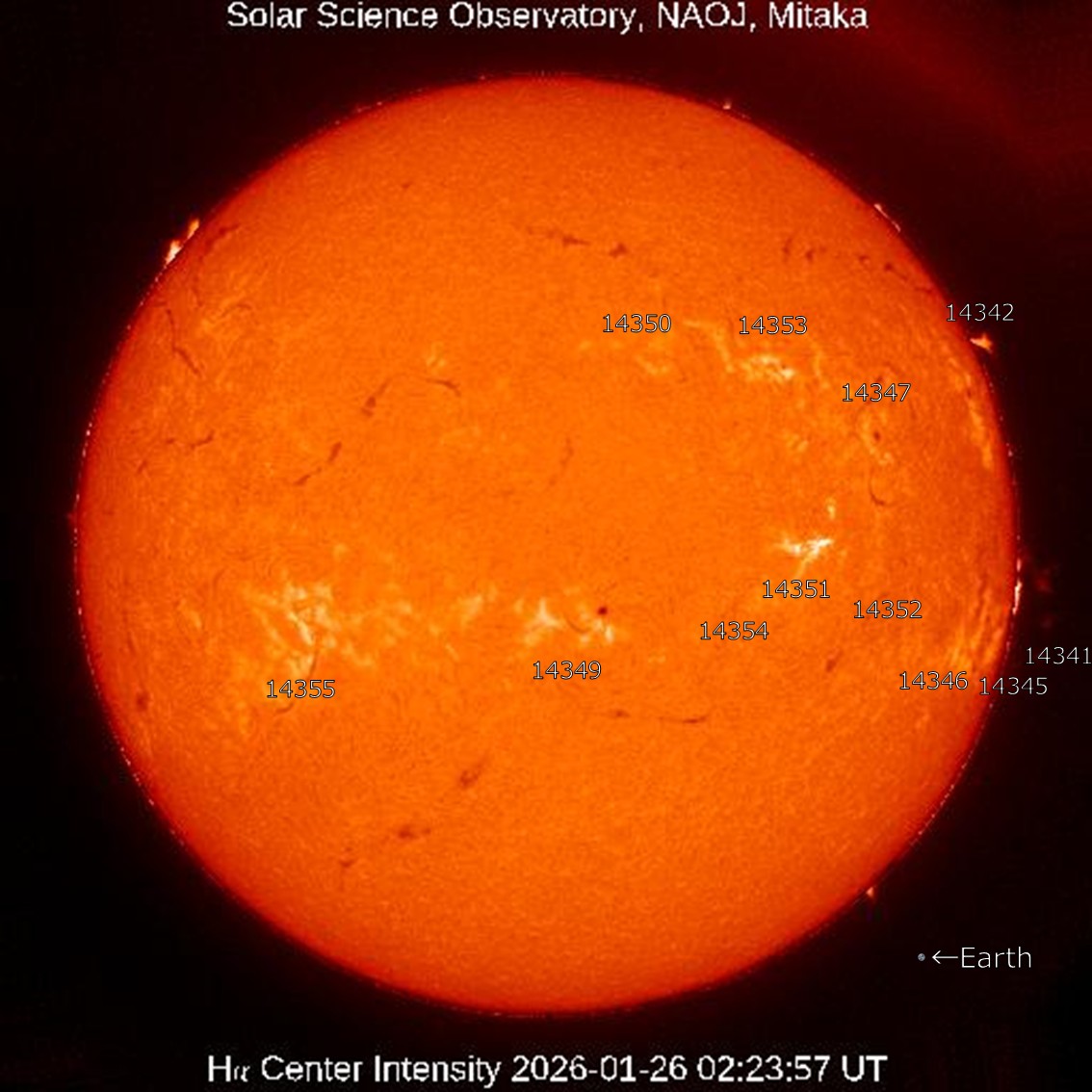 本日の太陽】2026-1-26のHα線全面像 静穏な状態が続いています。 活動