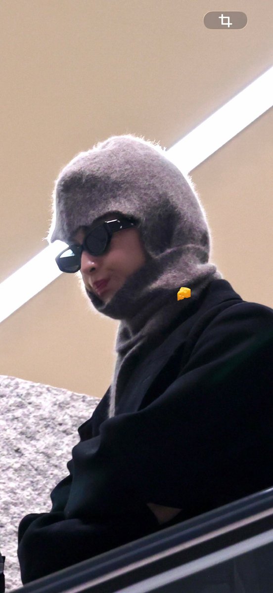 ㅈㅉ 바보같고
코가 빤질빤질함
고양이