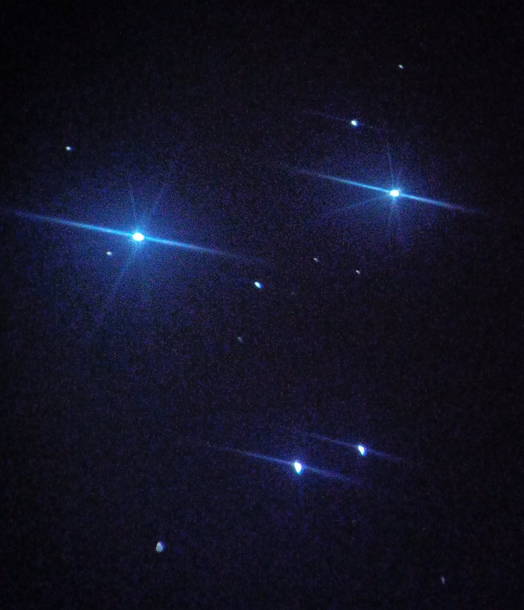 ProfDuthoit▶️ tweet media