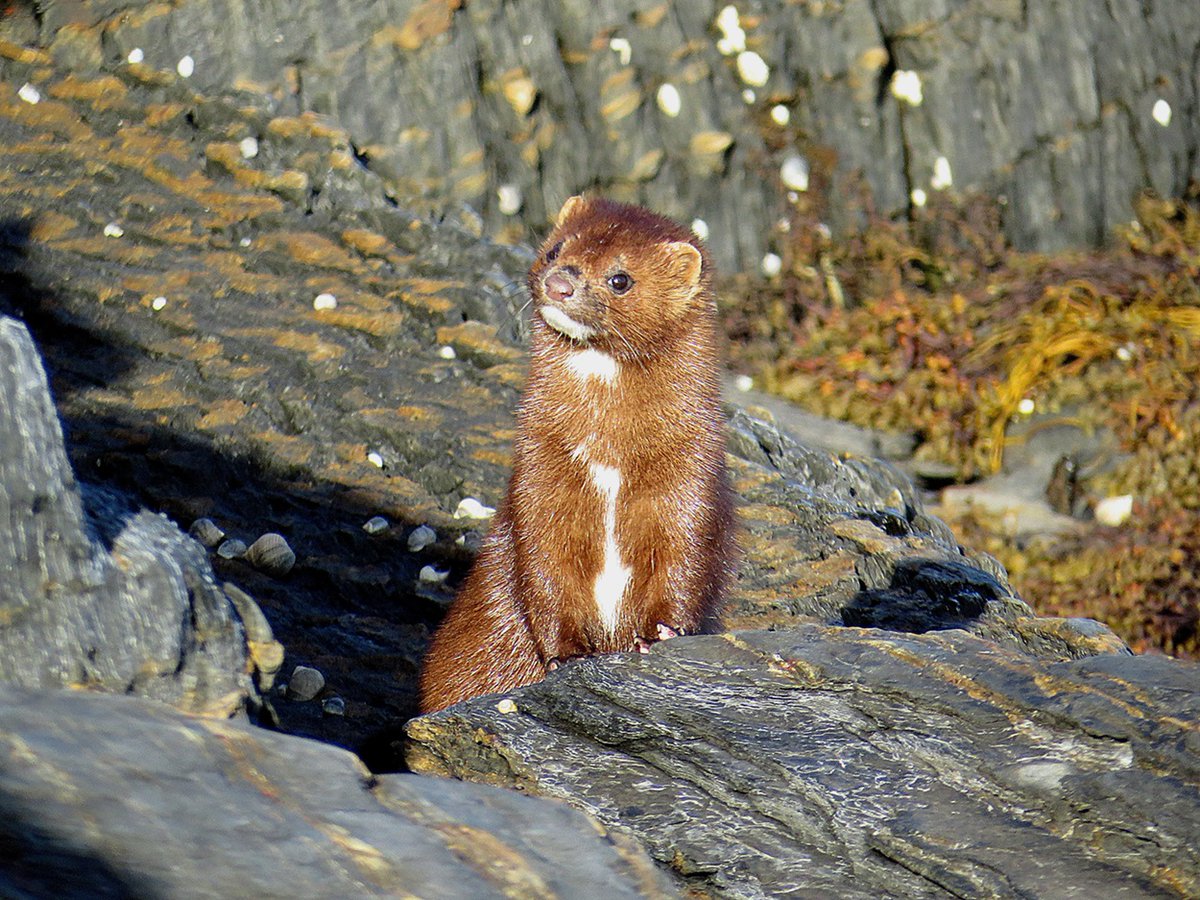 Tsukino Con @ Washing my hands hbu? tweet media