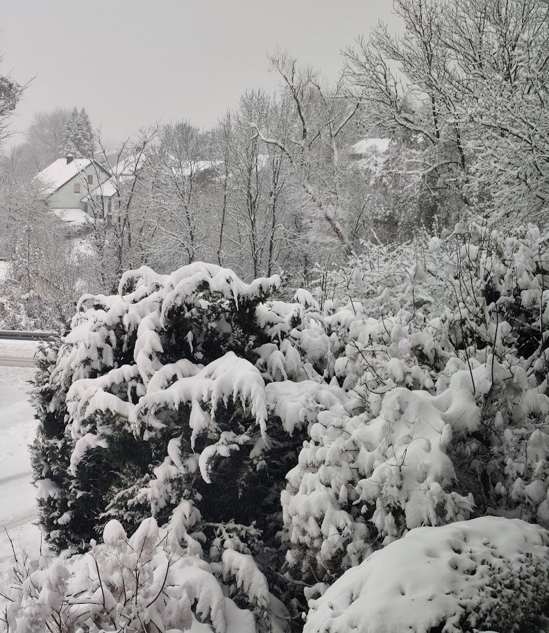 ChrisTravelPics's tweet image. Good morning! 🙂
Winter has hit Bavaria hard – full winter arrival here! ☕️❄️
#Wintereinbruch #SchneeBayern #Bavaria #Winter #Schnee #SnowGermany