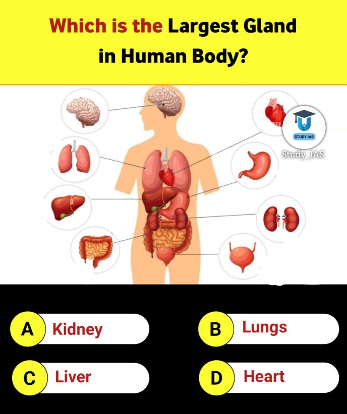 GuideforAll's tweet image. #QuestionOfTheDay:

Comment Your Answer ✍️