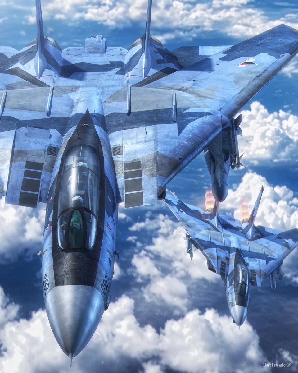 On Combat Air Patrol above Area B7R, a pair of mercenary flown Ustio F-14 Tomcats keep a watchful eye on enemy movements. 🐈🐈

#acecombat #tomcat