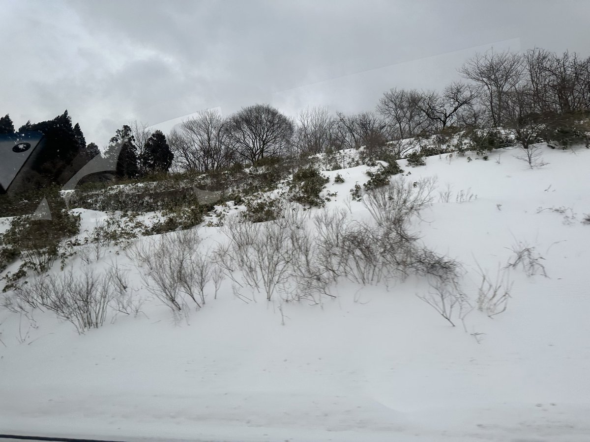 tmarwala's tweet photo. In Akita, my 25th prefecture in Japan, taking the values of the United Nations—peace, dignity, and sustainability—to the people.
#Akita #Japan #Peace #Sustainability #UNValues https://t.co/vFCPYZ7BtK