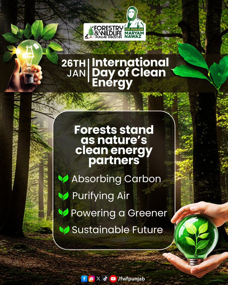 fwfpunjabpk's tweet image. International Day of Clean Energy | 26 January
.
.
.
#InternationalDayOfCleanEnergy #greenenergy #GreenPakistan #PunjabForests #fwfpunjab #GovtOfPunjab