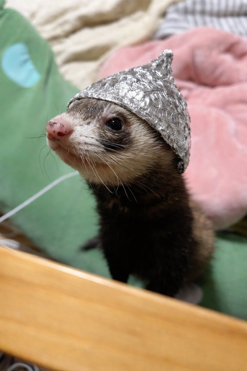 電磁波とか思考盗聴から守りたかった