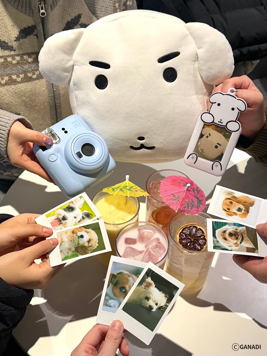 🌟EVENT

강아지 예절샷 찍을 때
탁수는 가나디랑 미니12로 예절 지킴 📸🐶
반려견은 없어도 반려카메라는 있그든요
젤 귀엽죠? 그쵸?

[EVENT (~2/1)]
참여 방법: 계정 팔로우+RT+탁수 가나디 젤 귀엽다 해주기
경품 : 1️⃣인스탁스x가나디 미니12 패키지 (1명)
2️⃣인스탁스x가나디 미니필름 홀더 (2명)