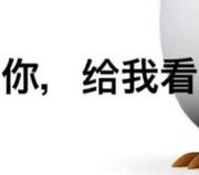 我是烧笔 tweet media