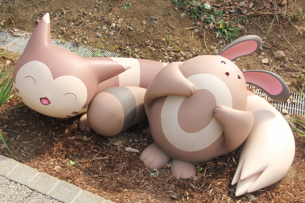 【ポケパークカントー情報】

✅オタチとオオタチ
