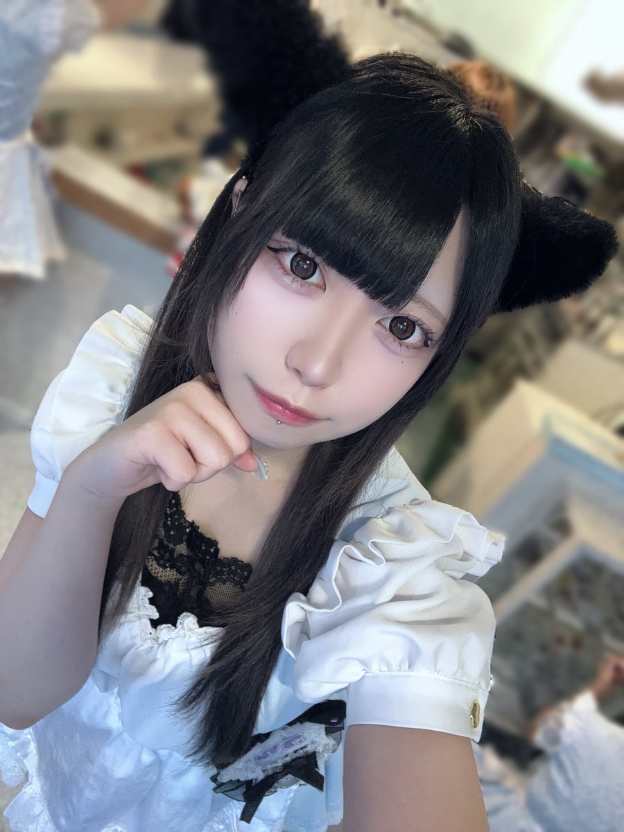 Post by うゆ on X: にゃん。