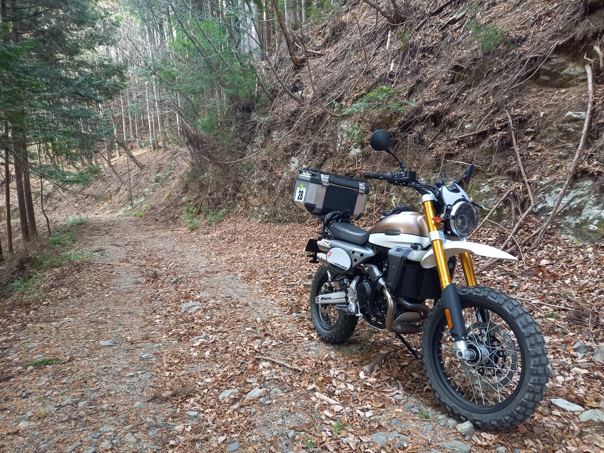 楽しんでいただけて嬉しいです🍑