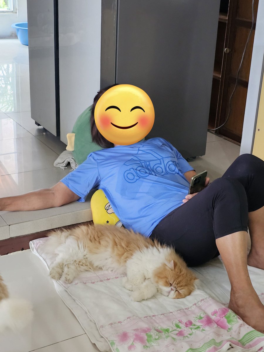 Payunbud's tweet image. พี่แม่บ้านฉันเวลานอนดูทีวีตอนบ่ายว่างๆ กับแมวนอนกลางวันด้วยกัน นู๋ลู๊กก นางเป็าแมวที่ติดพี่แม่บ้านมาก นอนด้วยตลอด

...เวลาพี่เค้ากลับบ้าน นางจะภูมิตกเชื้อราขึ้นทันที 💦💦💦