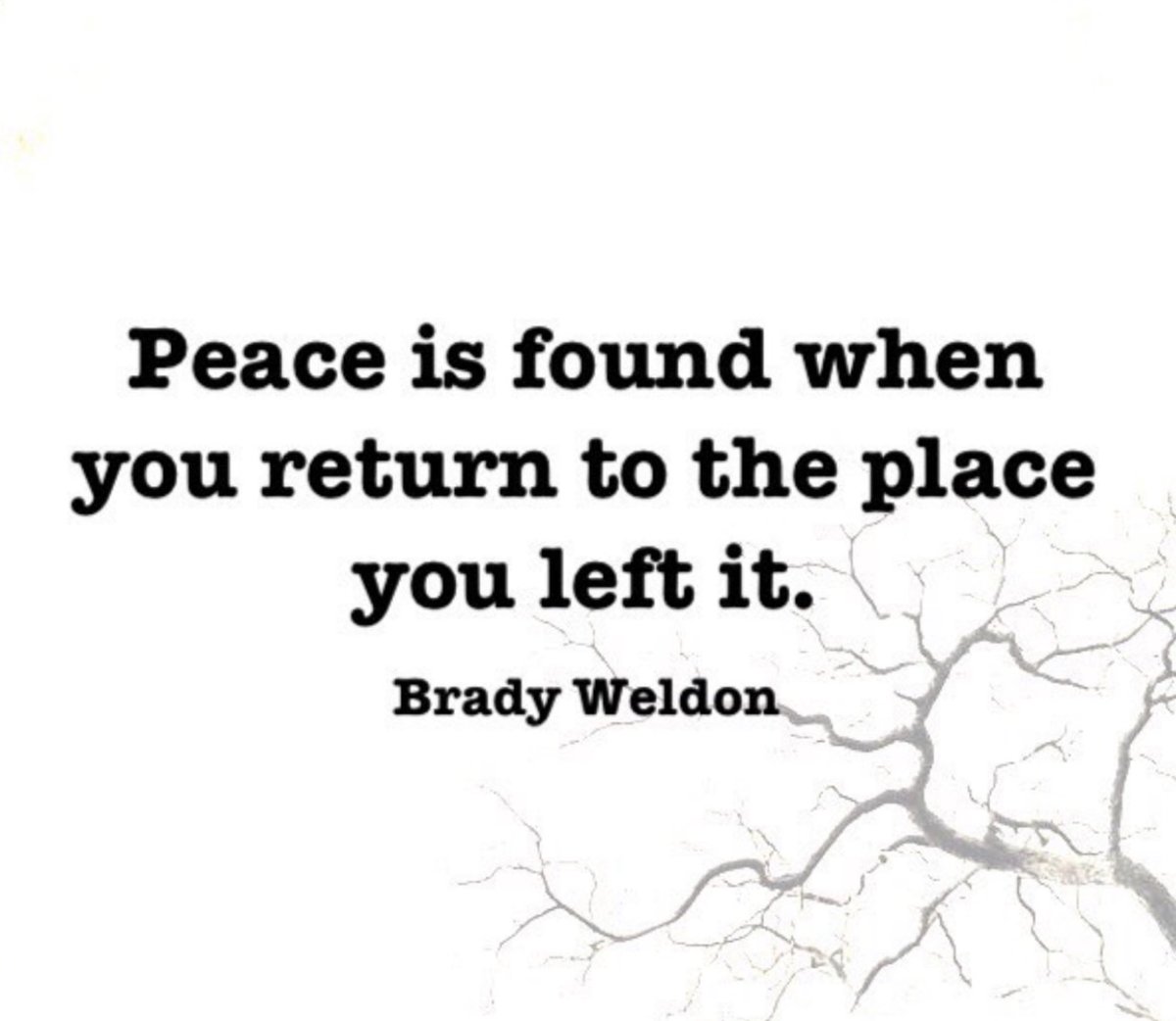 Brady Weldon tweet media