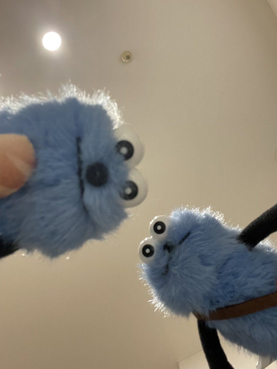 si_ho_99's tweet photo. 今日もうんと頑張ったね https://t.co/UX3AfroyT3