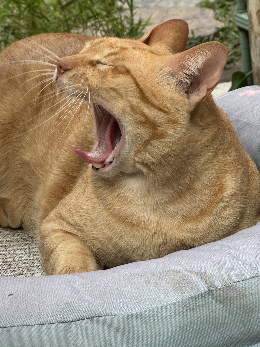 พี่กลับบ้านแล้วน้องน้อง