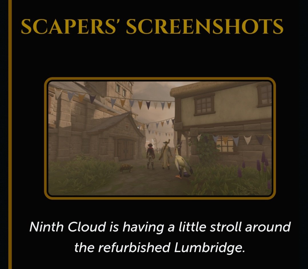 ScreenieScape tweet media