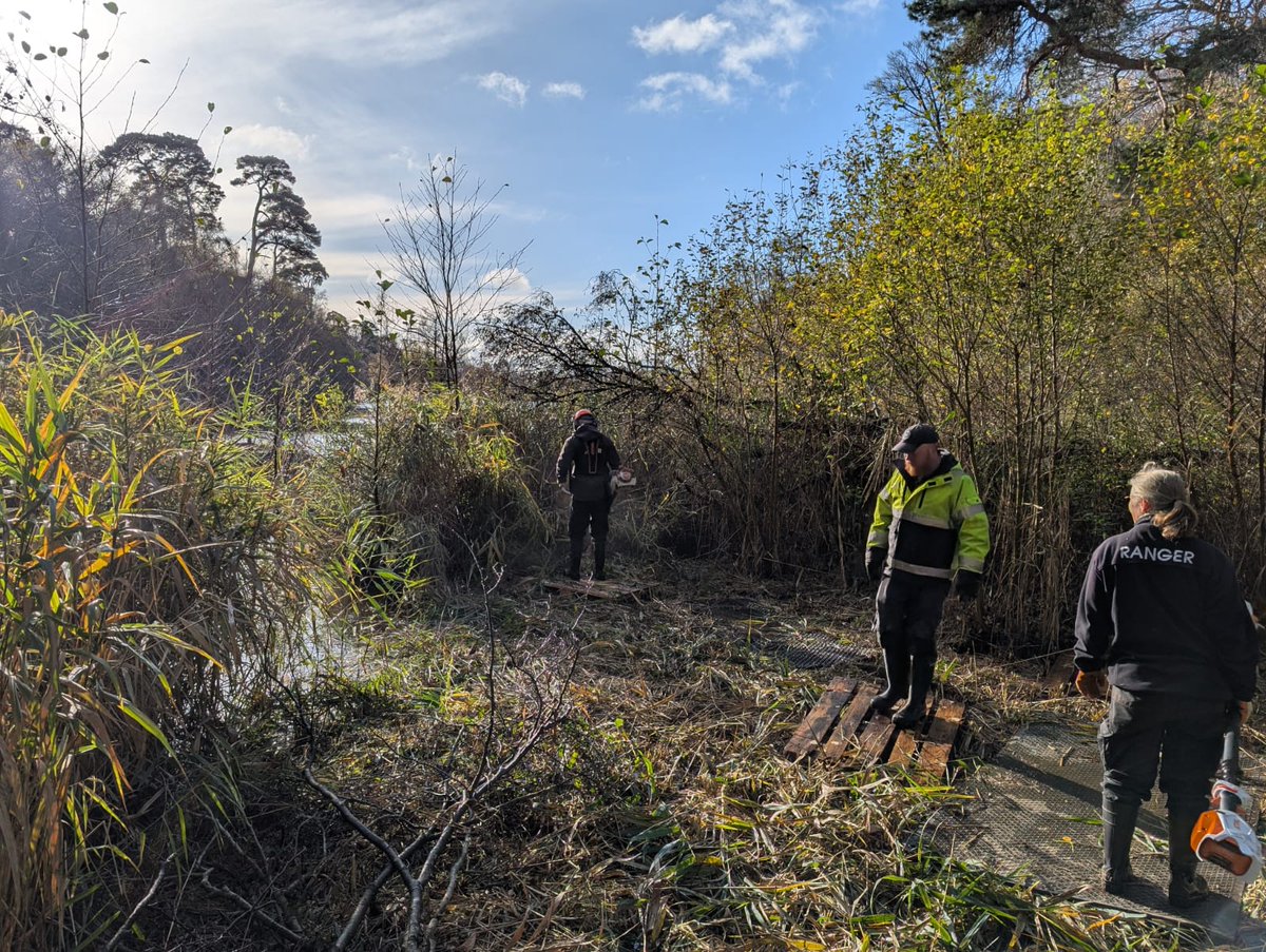 Bucks Country Parks tweet media