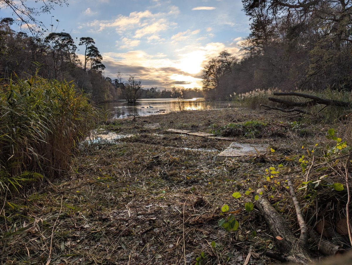 Bucks Country Parks tweet media