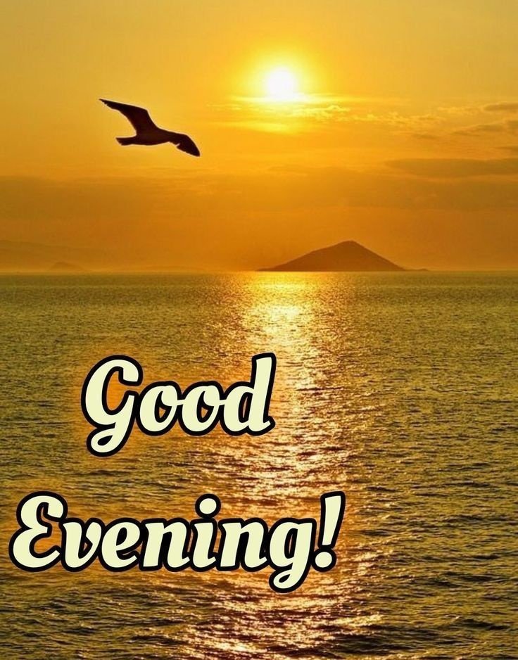 DoshiDevarsh's tweet image. Good evening