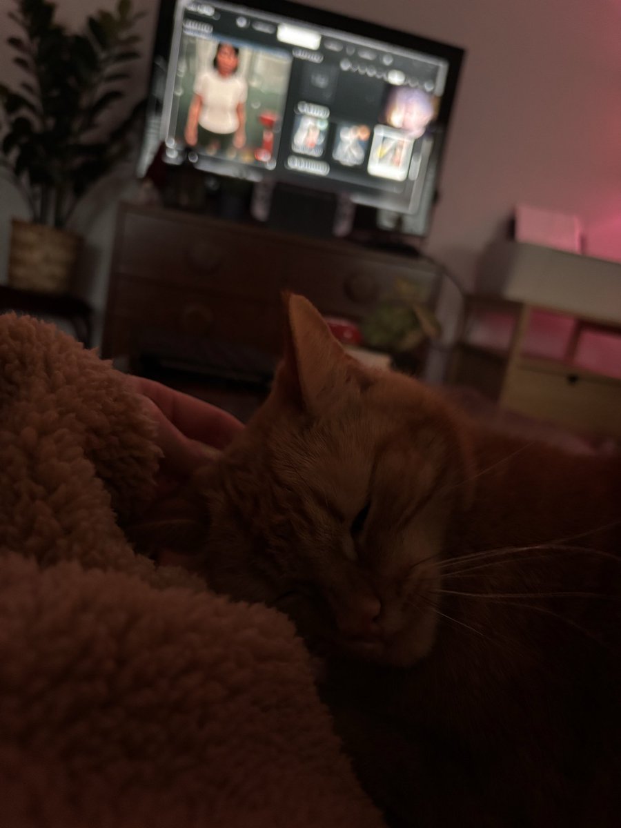 LibraryOfRae's tweet image. 