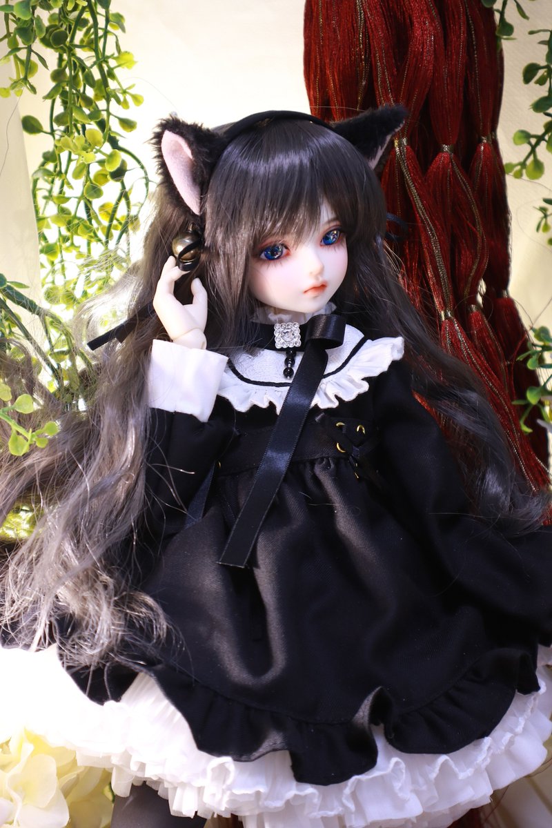 PoE_MomiP's tweet image. Scarlett様服似合う御方を探してて目があった黒猫Deliaちゃん。…いや、しかし…