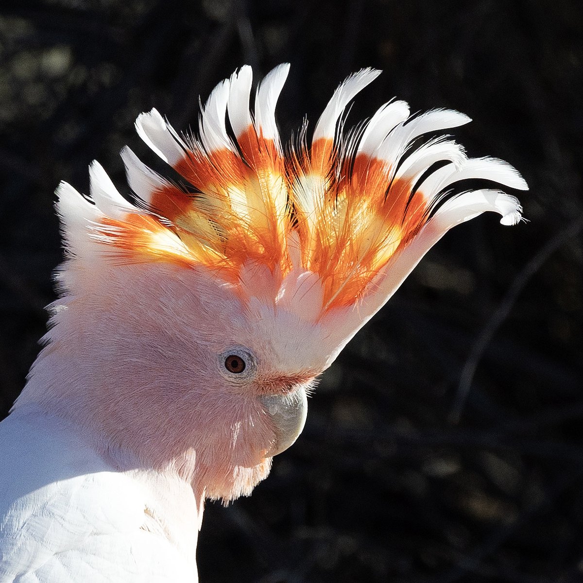 Sandy Horne tweet media