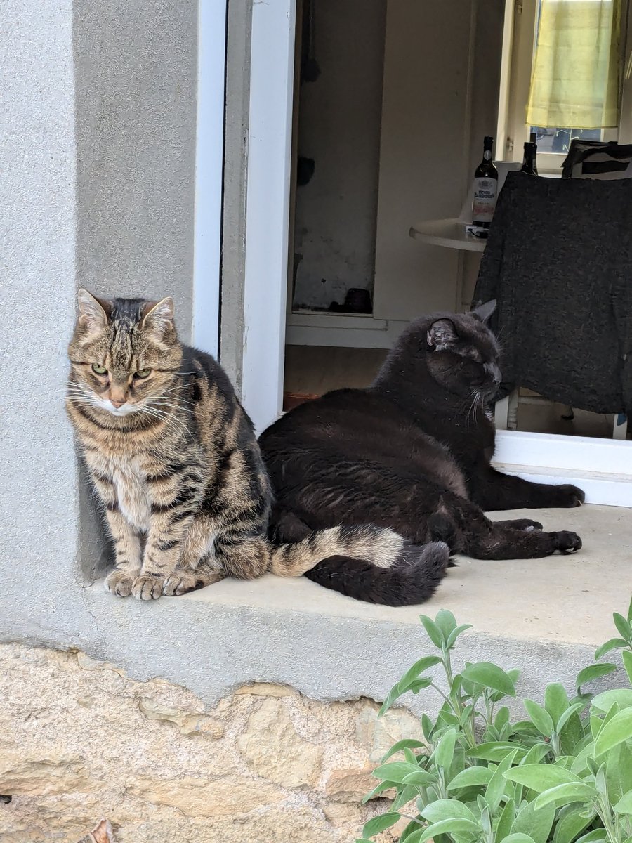 Stéphanie Migniot tweet media