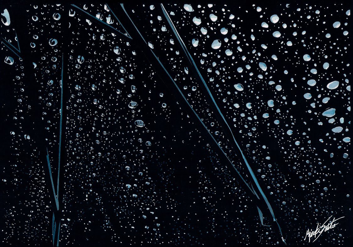 ビニール傘についた雨粒を切り絵で表現したの私だけかもしれない

 #多分私しかやってない