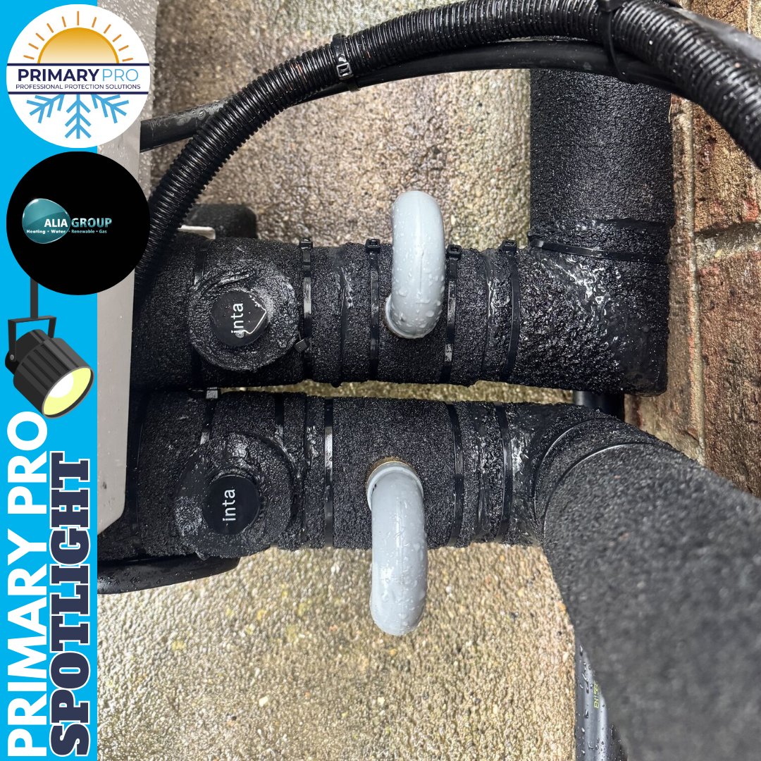 Primary Pro tweet media