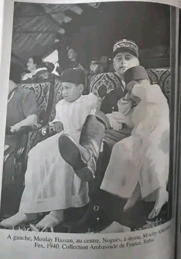 Numidian 🇩🇿 tweet media