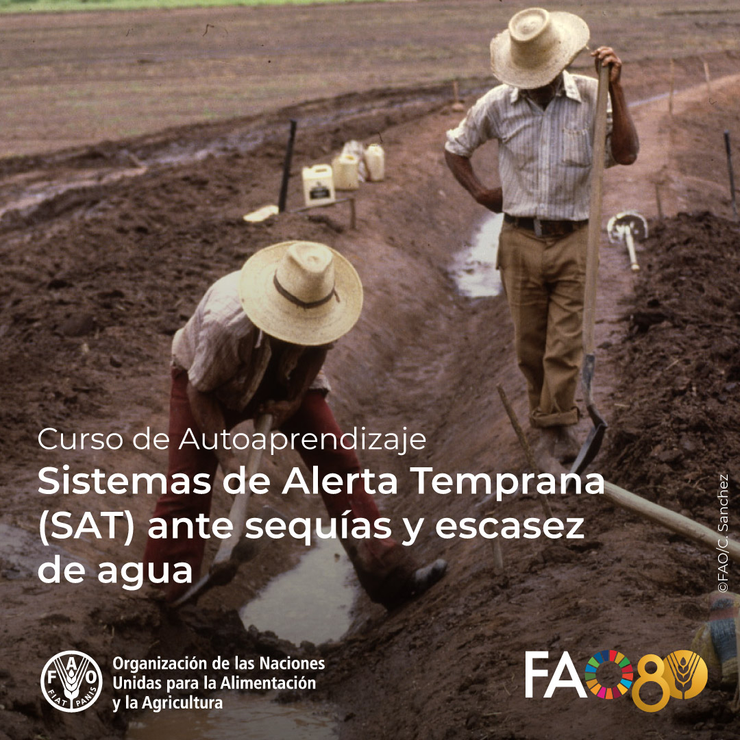 FAOCampus's tweet image. ¡Curso gratuito en @FAOCampus!

🌾Sistemas de Alerta Temprana (SAT) ante Sequías y Escasez de Agua

 ¿Cómo anticiparse a sequías y escasez de agua?
📚 A tu ritmo y con certificado 

Inscríbete:👉f.mtr.cool/zhbknaxlqa

#FAOCampus #Sequías #Agua