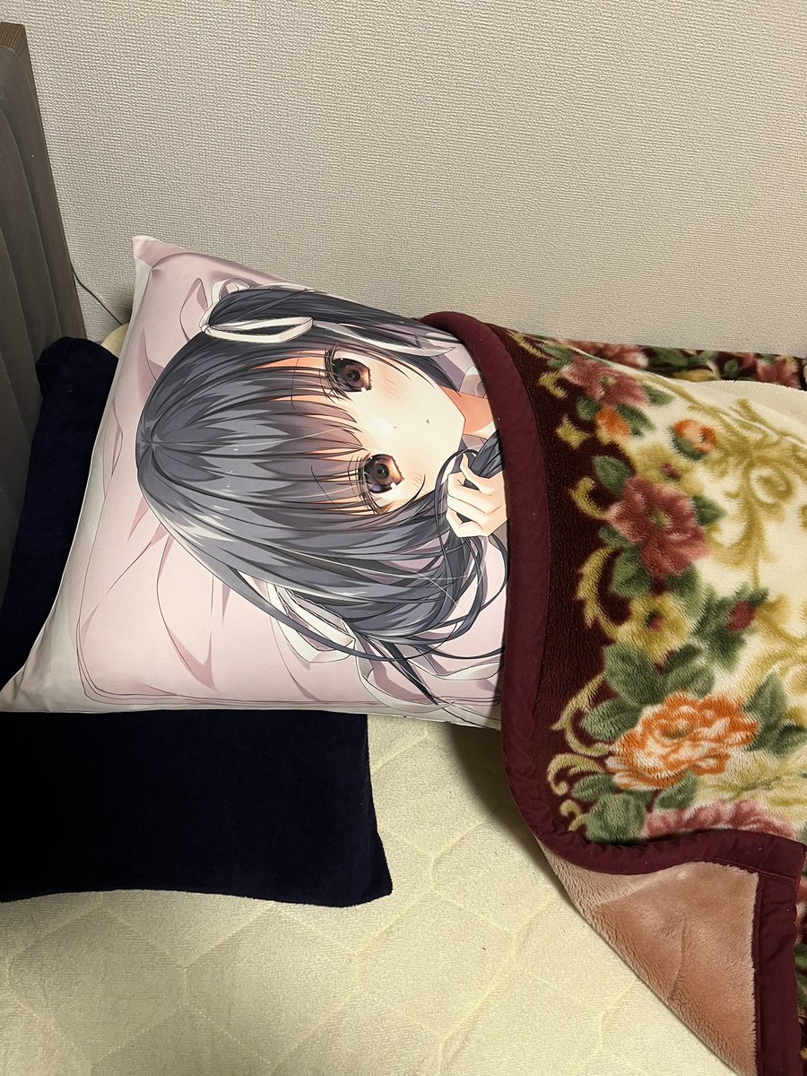 よりにもよって名前誤字ってたから消した😢

ともあれ、また樹液初採集とかブナ帯初採集みたいな記憶に残る虫に出会いたいし、きっと会えるだろうという気もしてる

昨シーズンは縁がなかったけど、この抱き枕に出会ったので良いんだ