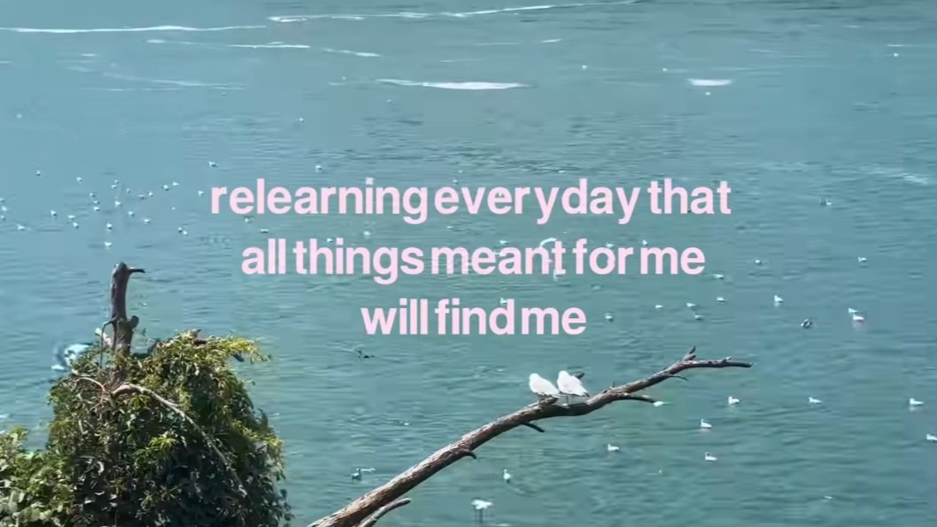 𝓁𝒾𝓁𝓎. (@iridescelily) on Twitter photo 