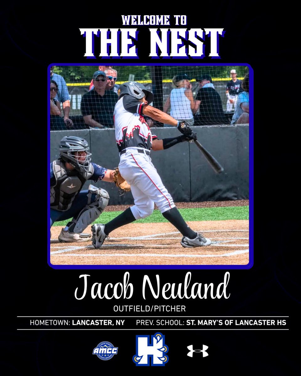 Hilbert College Baseball tweet media