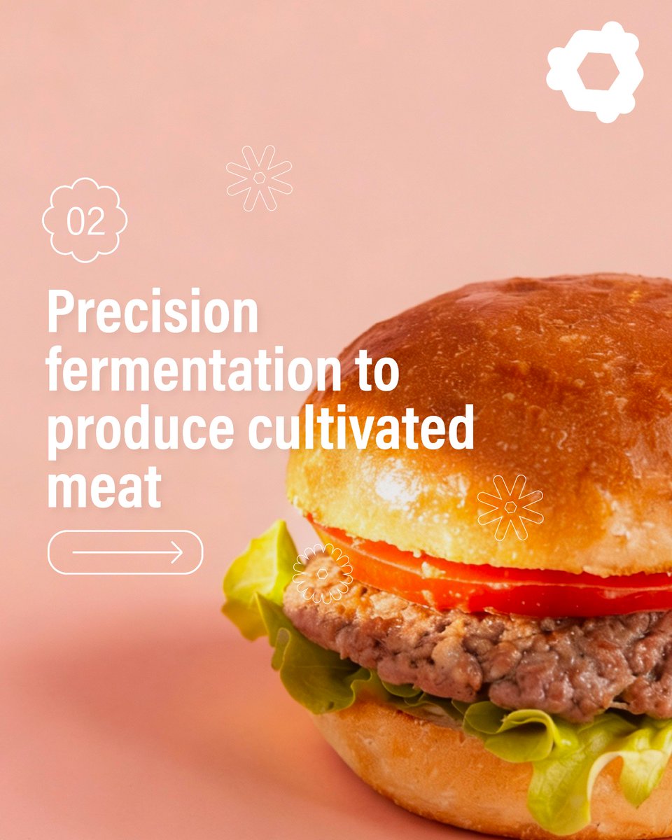 BioTech Foods tweet media