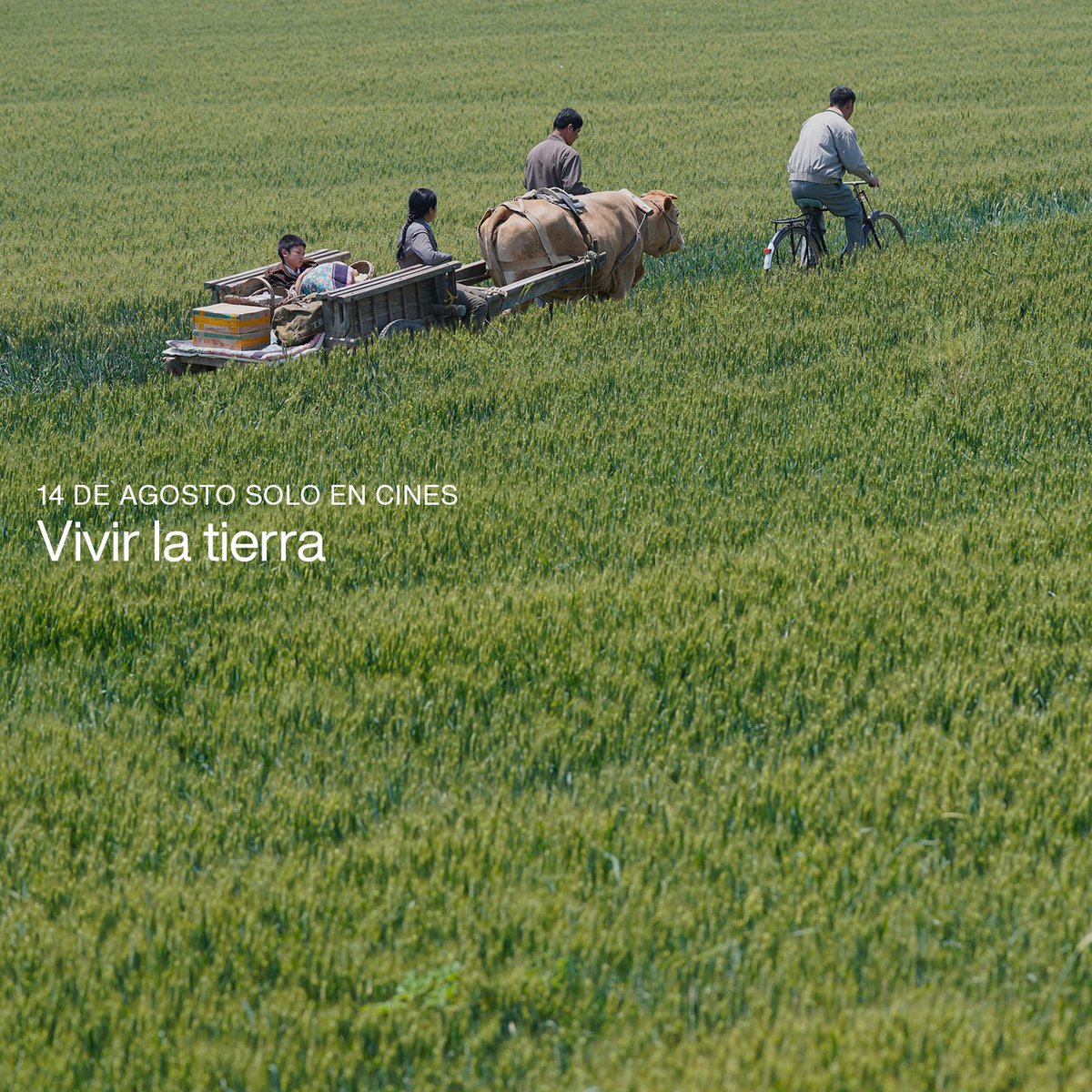 Nuevas fechas de estreno que podemos confirmaros

✨ Drama con historias cruzadas, road trip familiar, romance en tierra salvaje y epopeya rural ✨

Menú variado y de lo más nutritivo para la temporada primavera/verano

#Couture #Omaha #IványHadoum #Vivirlatierra #estrenos #cine