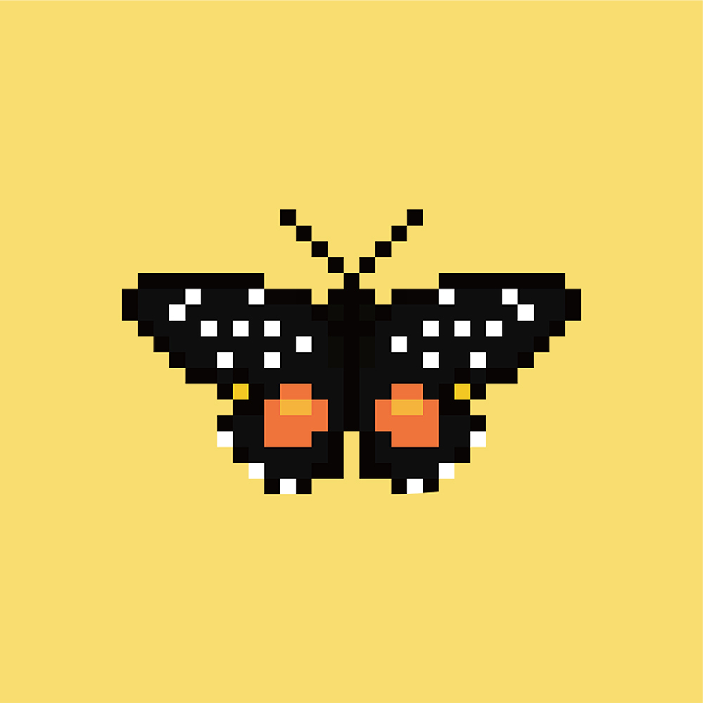HashButterfly88's tweet image. 8-bit wings. 256-bit security. Infinite value. Fly with us into the decentralized future. 🚀