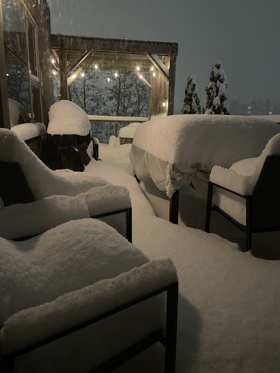 Renata Lumsden tweet media