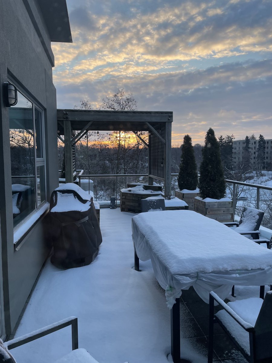 Renata Lumsden tweet media