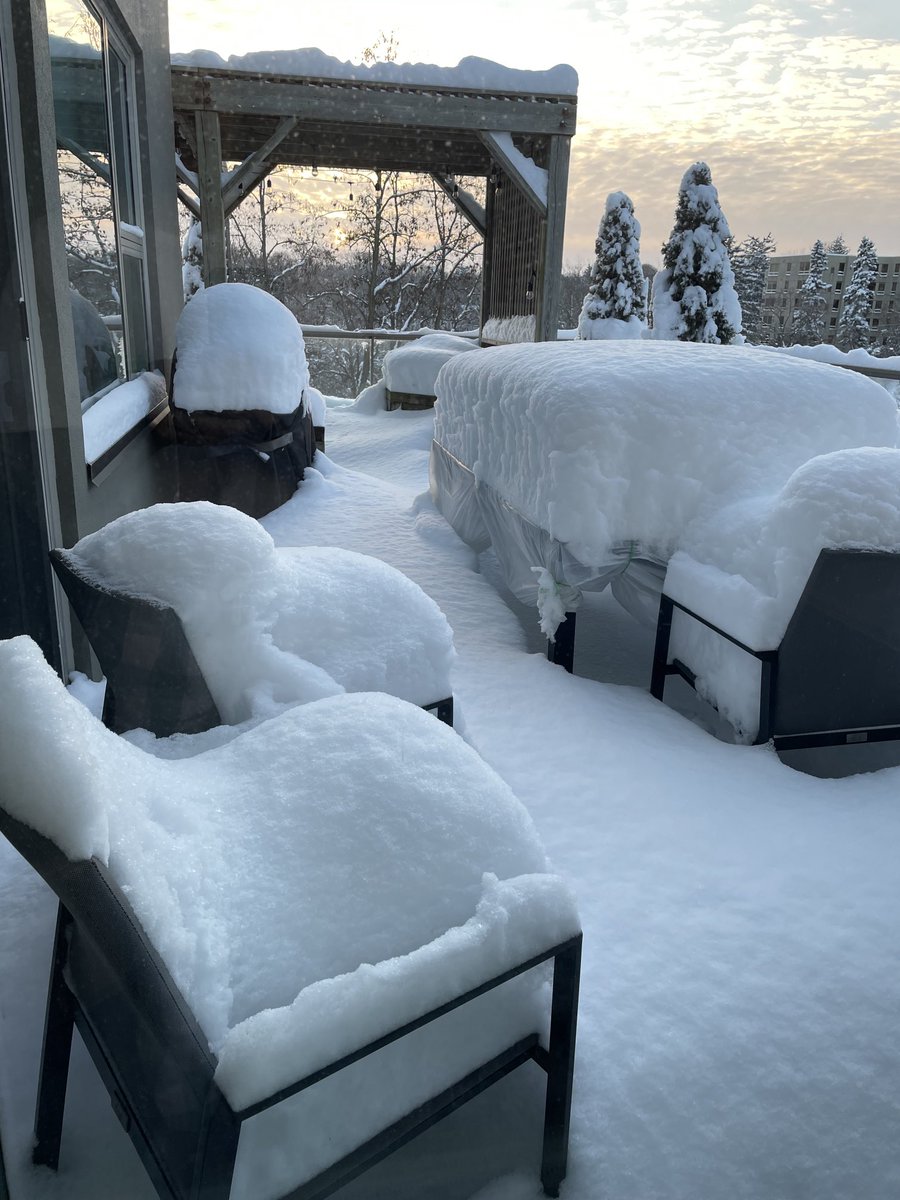 Renata Lumsden tweet media