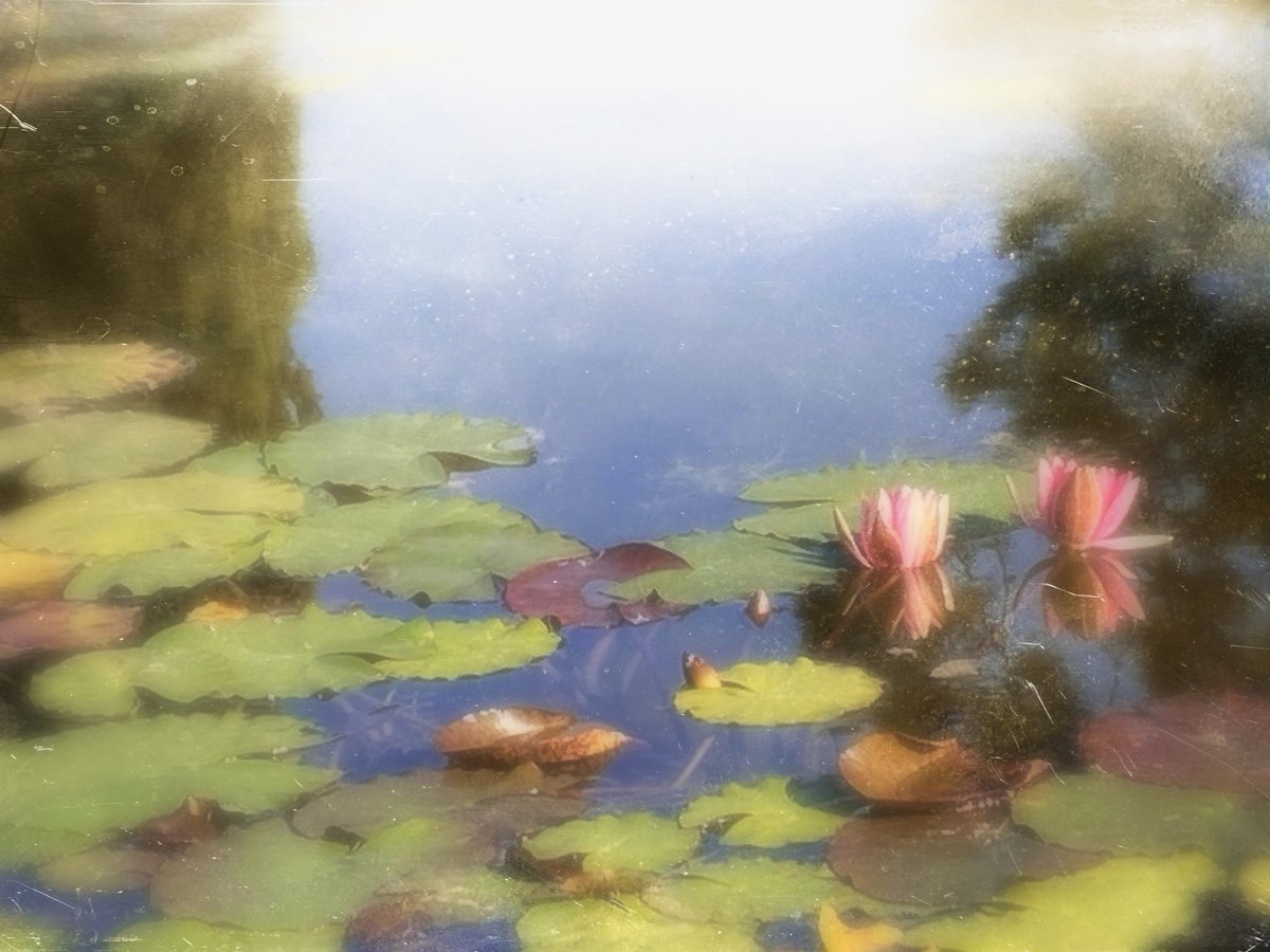 🚶🏻‍♂️Riccardo tweet media