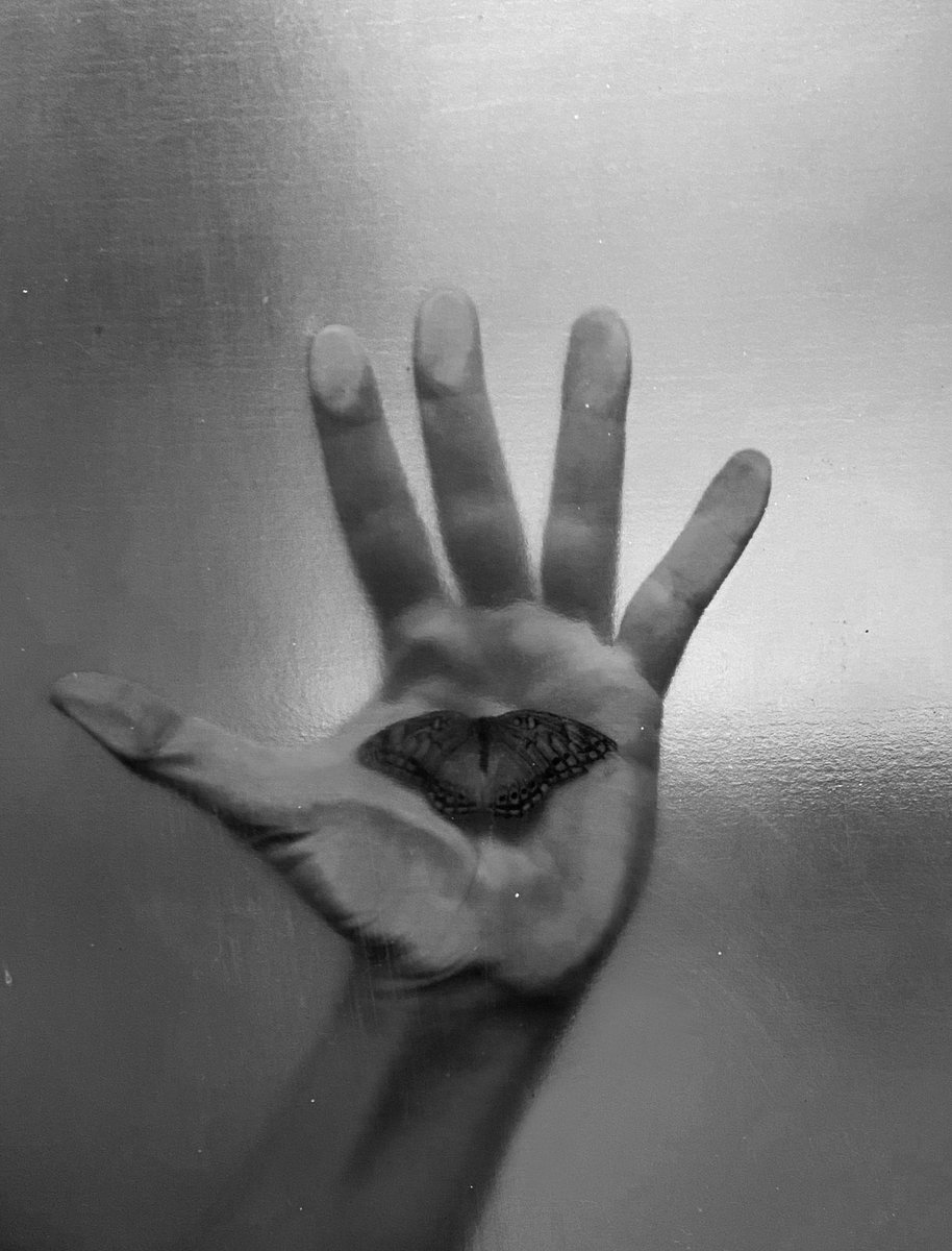 silviahmariah's tweet image. Histórias de mulheres
4/5