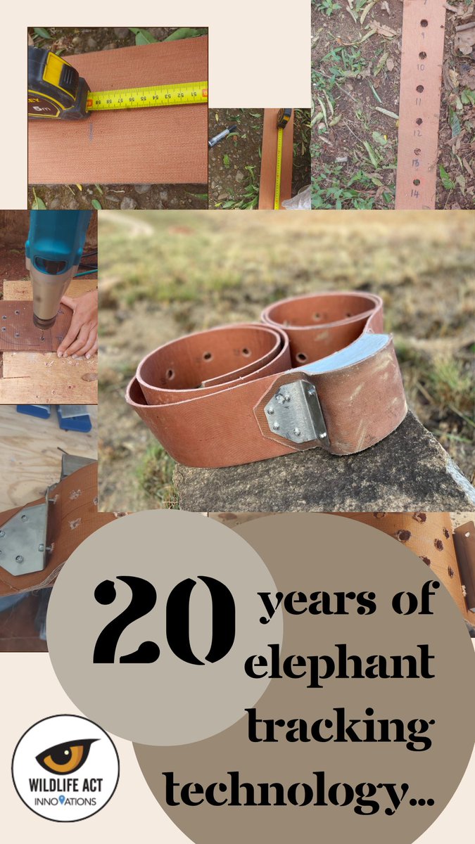 WildlifeACT Innovations tweet media