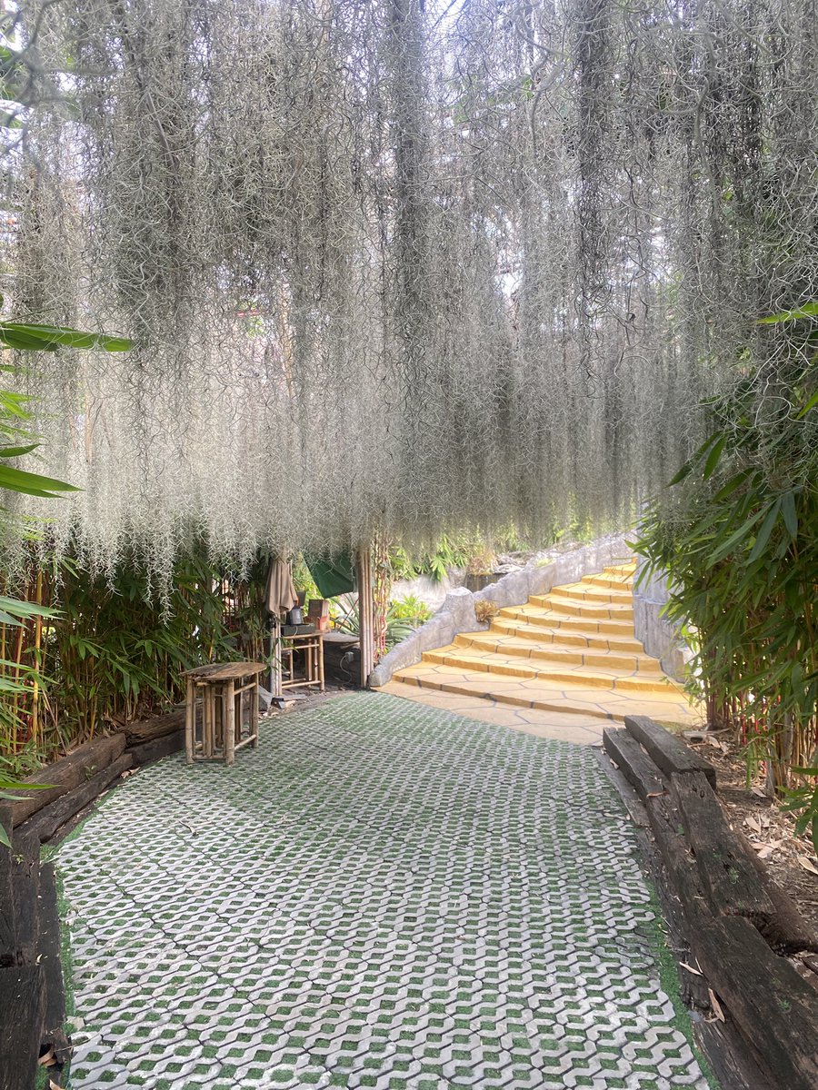 อยากออกไปแตะหญ้าา