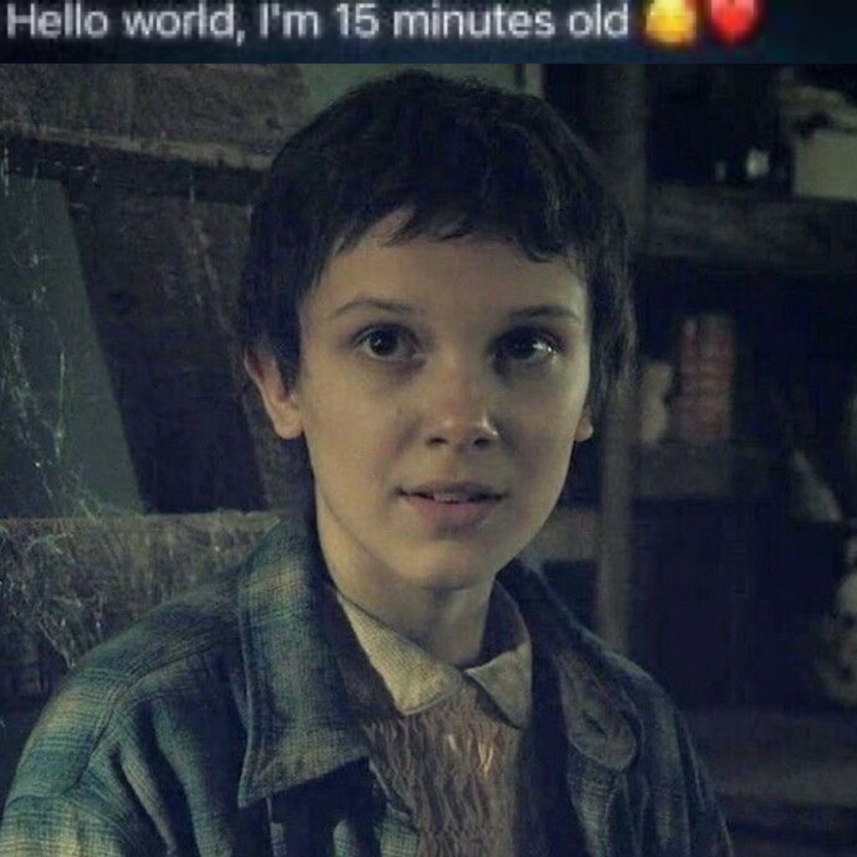 willelszn's tweet image. i FEEL SO MATERNAL OVER HER I CANT DO THIS