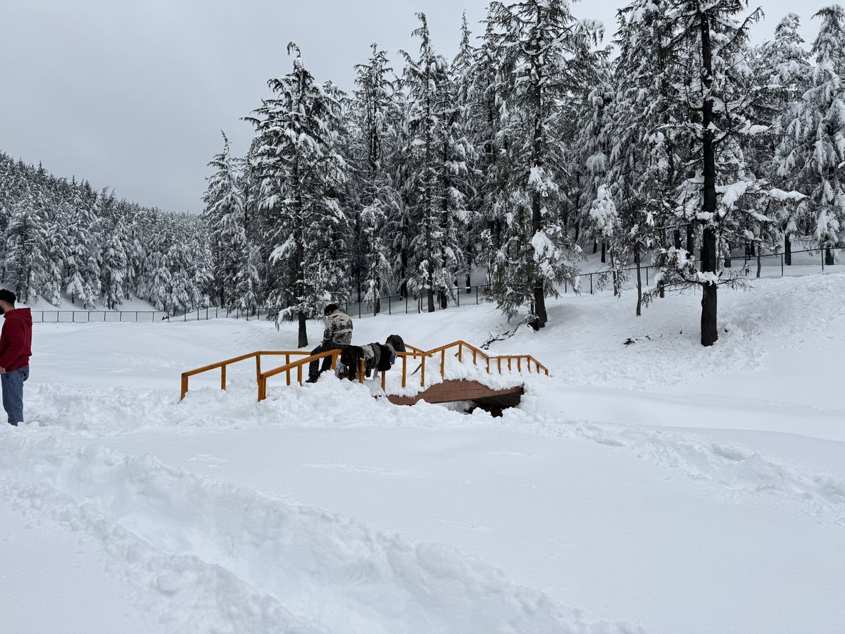 Zaidbinarif491's tweet photo. CB Nath Eco Park in Pulwama has immense tourism potential but remains neglected.
Appeal to the Hon’ble CM @OmarAbdullah to develop and promote it urgently.
Tourism here means jobs, growth, and dignity for local people. Act now.
#CBNath #Pulwama #EcoTourism #JobsForYouth https://t.co/eEVBeybSos