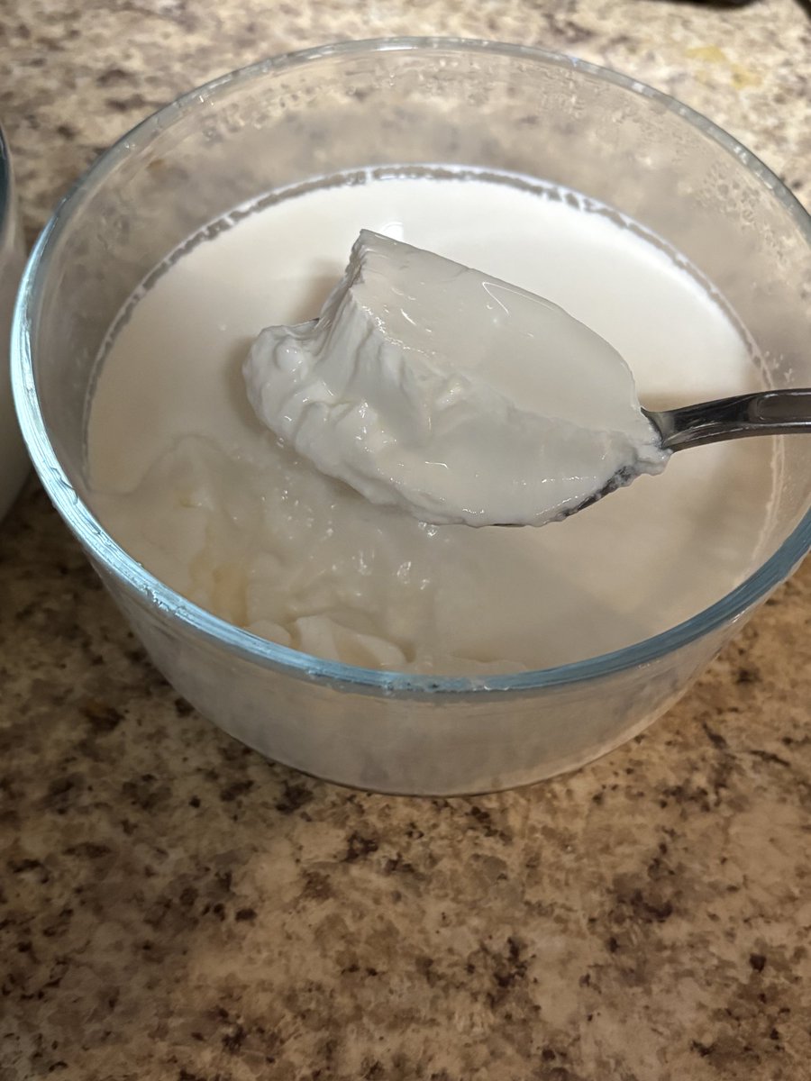 I have been enjoying making yogurt with my new Ultimate ProBiotic Yogurt Maker since Christmas #UltimateHealth.

Thanks ULTIMATE HEALTH for the free eight 6oz yogurt jars!