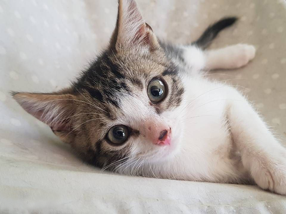 hernanflash's tweet image. Buen día para todos!! que tengan un lindo lunes y un gran comienzo de semana  😊