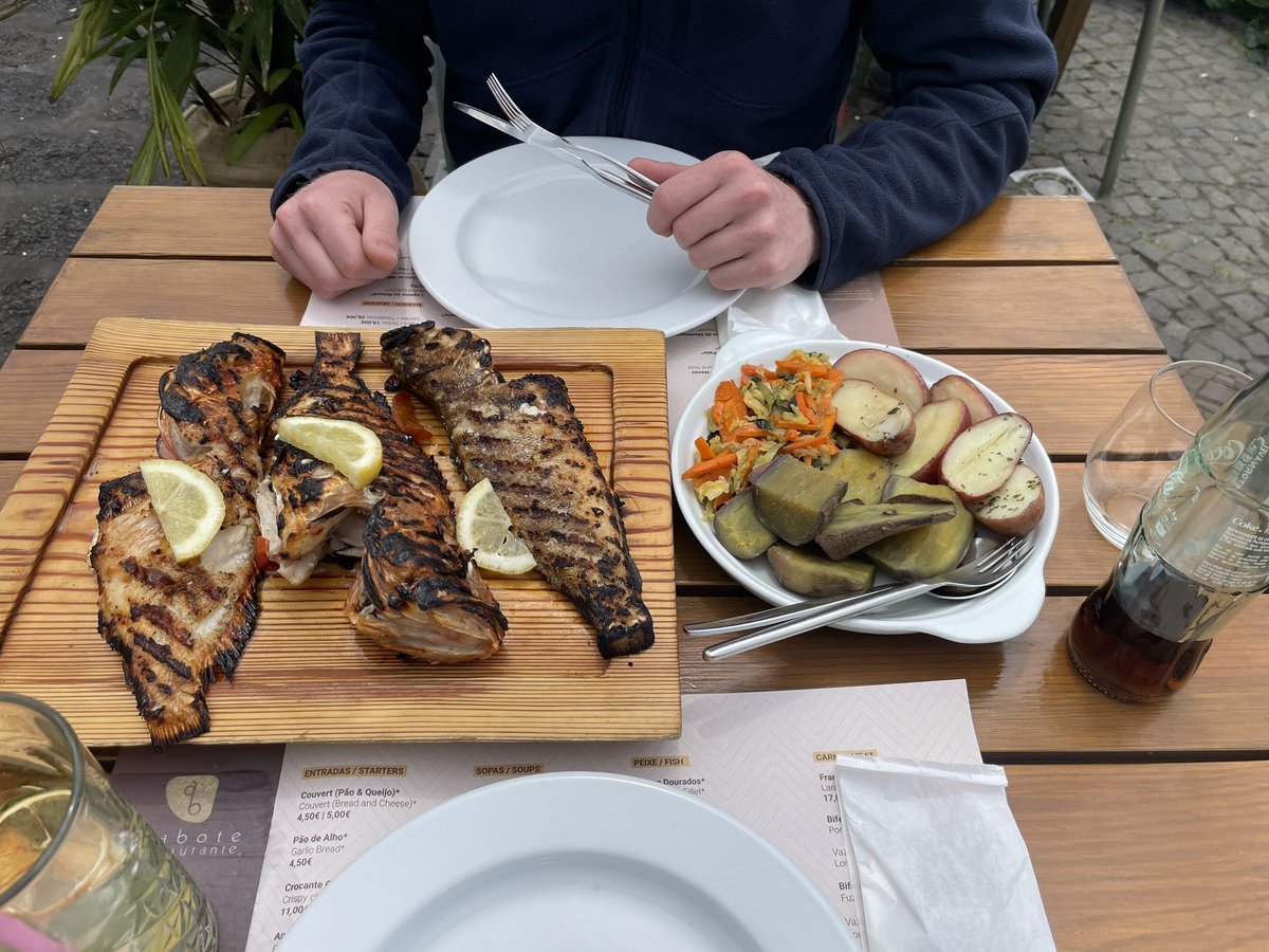 🧚‍♀️ tweet media